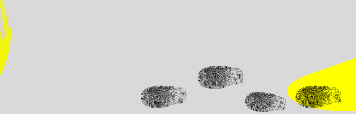 Programa de Enfermería Basada en la Evidencia