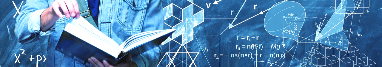 Programa Minerva de Jóvenes Investigadores