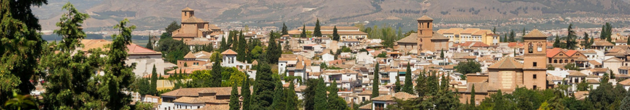 Beca Index de Líderes en Gestión del Conocimiento